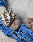seashell decoration wreath