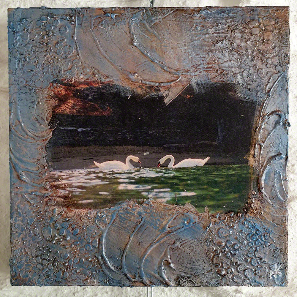 mixed media with photo on canas gialiskari kea swans